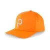 Puma P Hat